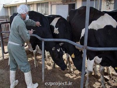 دعوت از فناوران برای تولید واکسن های کاربردی صنعت دام، طیور و آبزیان