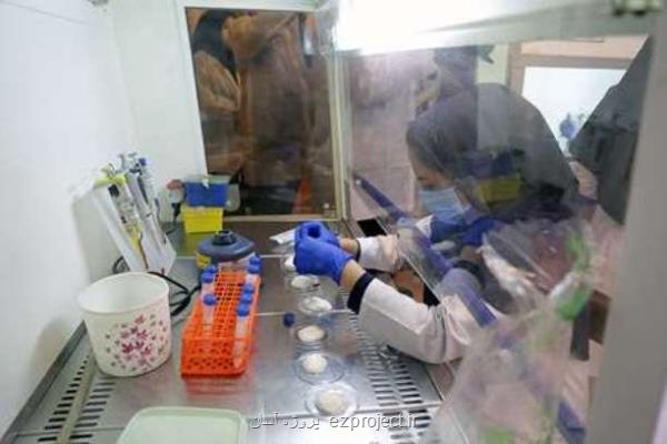 معرفی پژوهشگران پر استناد زن دانشگاه تهران