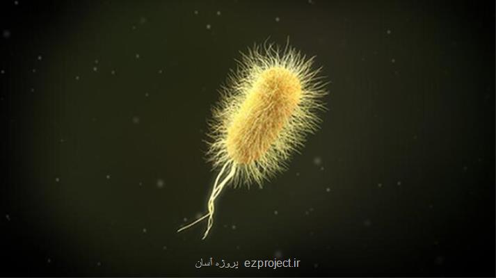 تولید پلاستیک تجزیه پذیر با استفاده از باکتری مدفوع!
