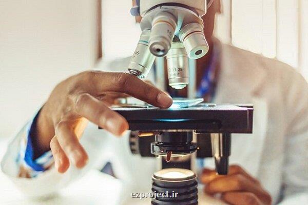 طرح جذب محققان مستقل به کجا رسید؟