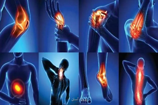کدام قسمت بدن مسئول رمزگذاری انواع مختلف درد است؟