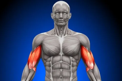 نامه مولکول های بدن به یکدیگر فاش شد