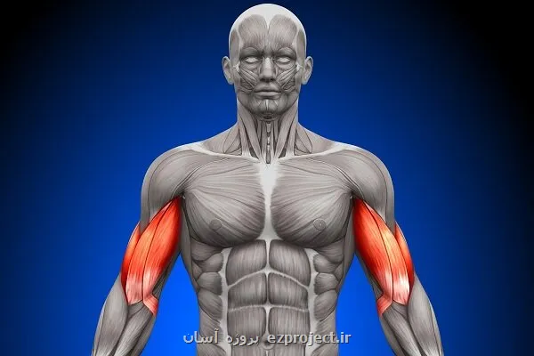 نامه مولکول های بدن به یکدیگر فاش شد