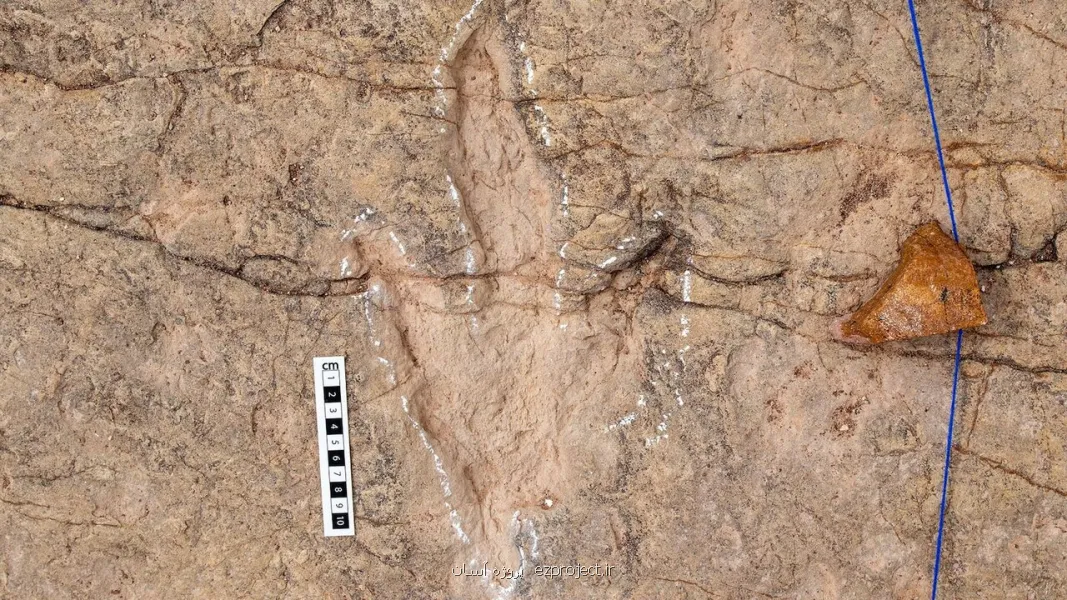 دانشمندان ۱۶ هزار ردپای دایناسور را در بولیوی ثبت کردند