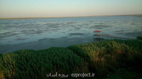افزایش ۳۴۲ درصدی برخورد با جرایم سایبری محیط زیست