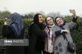 تهران در حال زنانه شدن است، افزایش رشد مهاجرت زنان به پایتخت