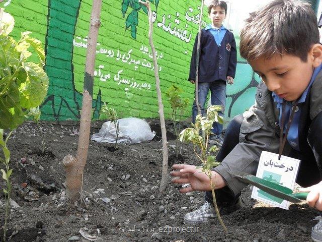 آغاز راه اندازی مدارس سبز در ۳ استان