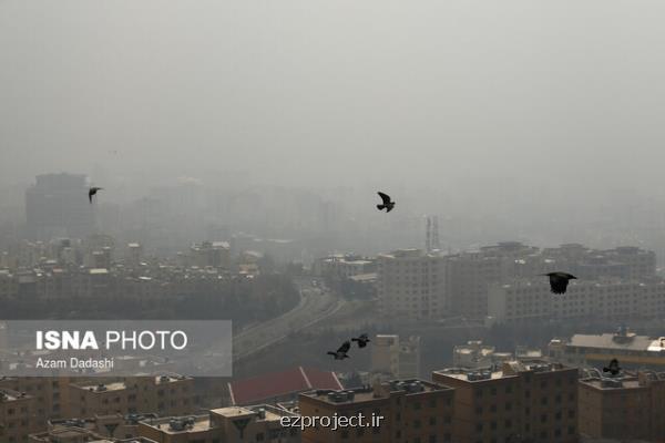 تعطیلی تمامی دانشگاه های استان تهران و مدارس تهران به جز ۲ شهرستان